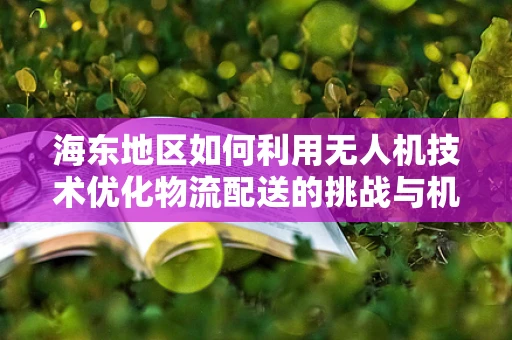 海东地区如何利用无人机技术优化物流配送的挑战与机遇？