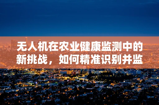 无人机在农业健康监测中的新挑战，如何精准识别并监测结肠炎患者的农田状况？