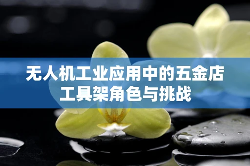 无人机工业应用中的五金店工具架角色与挑战