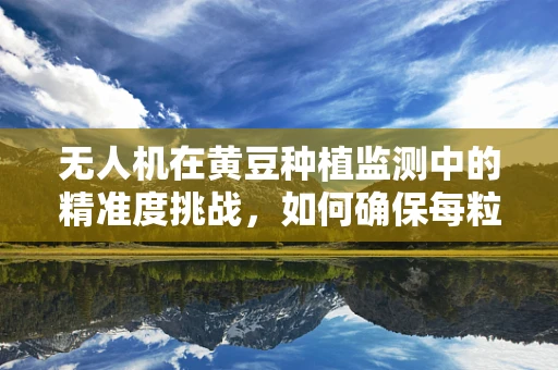 无人机在黄豆种植监测中的精准度挑战，如何确保每粒黄豆的精准识别？