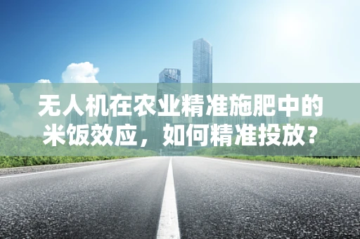 无人机在农业精准施肥中的米饭效应，如何精准投放？