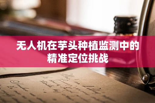 无人机在芋头种植监测中的精准定位挑战