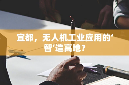 宜都，无人机工业应用的‘智’造高地？