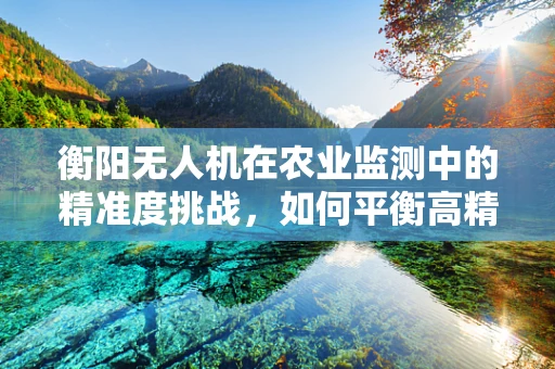衡阳无人机在农业监测中的精准度挑战，如何平衡高精度与成本效益？