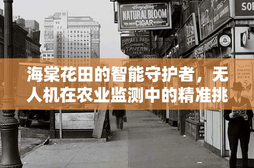 海棠花田的智能守护者，无人机在农业监测中的精准挑战与解决方案