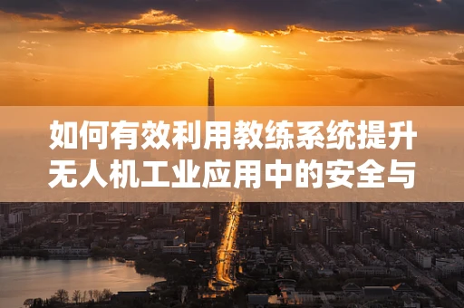 如何有效利用教练系统提升无人机工业应用中的安全与效率？