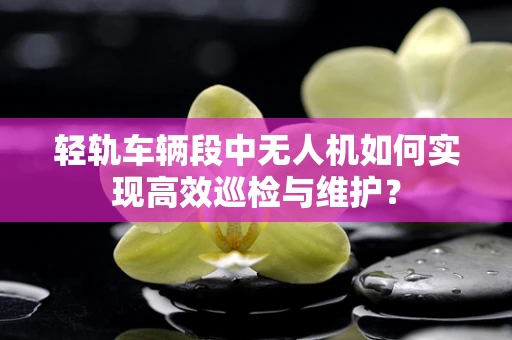 轻轨车辆段中无人机如何实现高效巡检与维护？