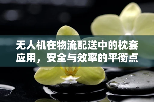 无人机在物流配送中的枕套应用，安全与效率的平衡点？