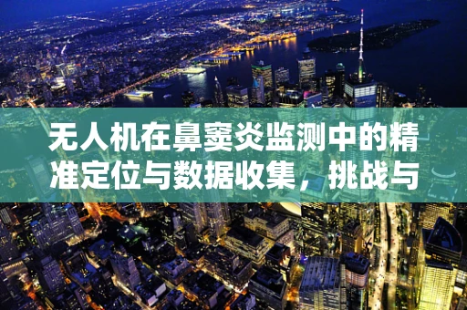 无人机在鼻窦炎监测中的精准定位与数据收集，挑战与机遇？