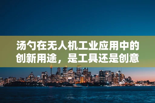 汤勺在无人机工业应用中的创新用途，是工具还是创意？