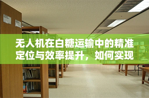 无人机在白糖运输中的精准定位与效率提升，如何实现？