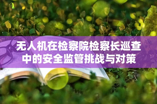 无人机在检察院检察长巡查中的安全监管挑战与对策