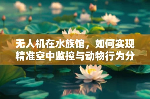 无人机在水族馆，如何实现精准空中监控与动物行为分析？