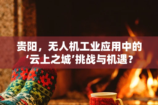 贵阳，无人机工业应用中的‘云上之城’挑战与机遇？