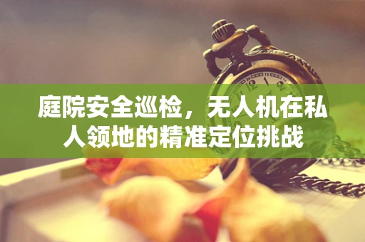 庭院安全巡检，无人机在私人领地的精准定位挑战