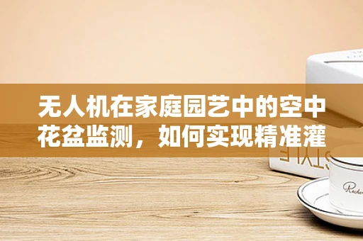 无人机在家庭园艺中的空中花盆监测，如何实现精准灌溉与健康管理？