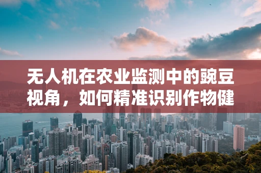 无人机在农业监测中的豌豆视角，如何精准识别作物健康？