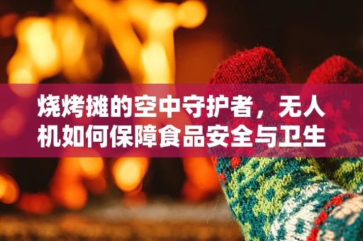 烧烤摊的空中守护者，无人机如何保障食品安全与卫生？