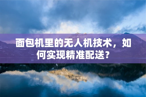 面包机里的无人机技术，如何实现精准配送？