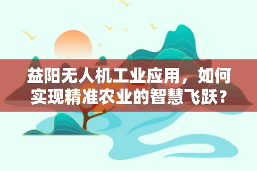 益阳无人机工业应用，如何实现精准农业的智慧飞跃？