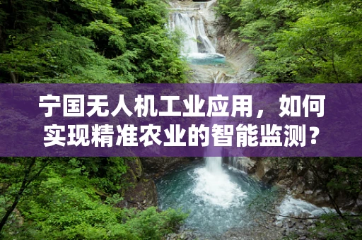 宁国无人机工业应用，如何实现精准农业的智能监测？