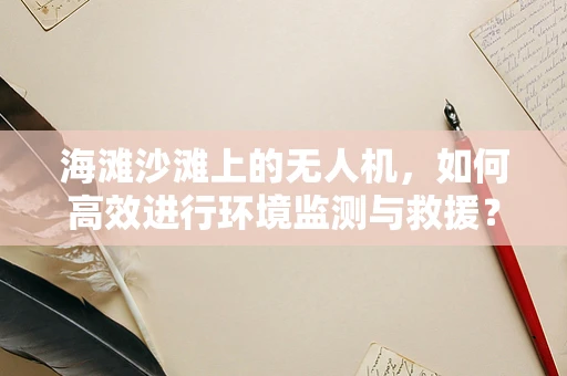 海滩沙滩上的无人机，如何高效进行环境监测与救援？