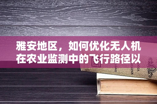 雅安地区，如何优化无人机在农业监测中的飞行路径以提升效率？