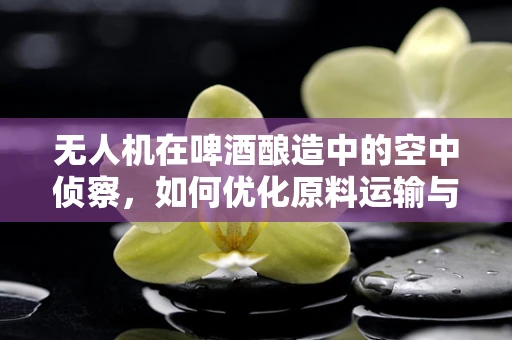 无人机在啤酒酿造中的空中侦察，如何优化原料运输与监控？