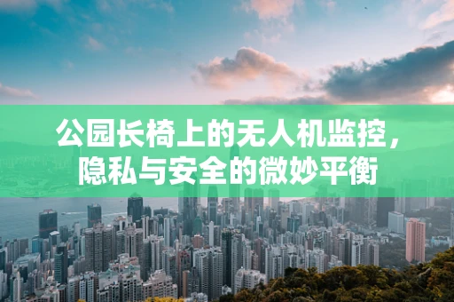 公园长椅上的无人机监控，隐私与安全的微妙平衡