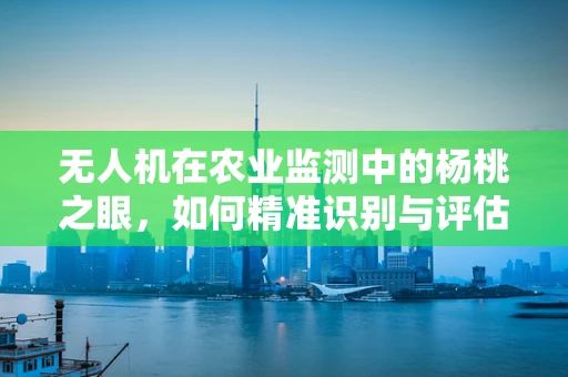 无人机在农业监测中的杨桃之眼，如何精准识别与评估杨桃树健康状况？