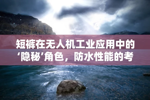 短裤在无人机工业应用中的‘隐秘’角色，防水性能的考量