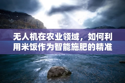 无人机在农业领域，如何利用米饭作为智能施肥的精准指标？