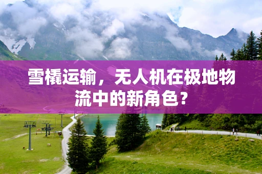 雪橇运输，无人机在极地物流中的新角色？