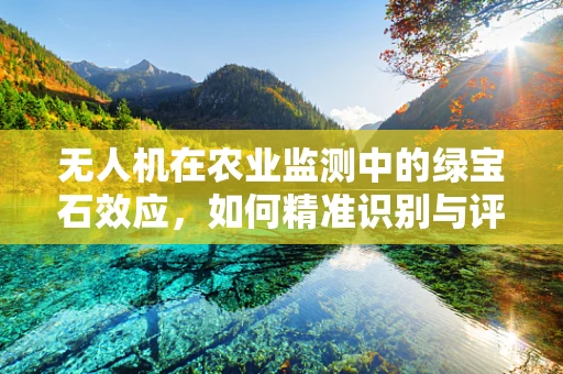 无人机在农业监测中的绿宝石效应，如何精准识别与评估作物健康？