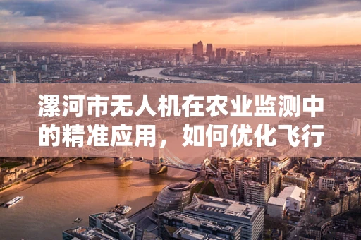 漯河市无人机在农业监测中的精准应用，如何优化飞行路径以提升监测效率？