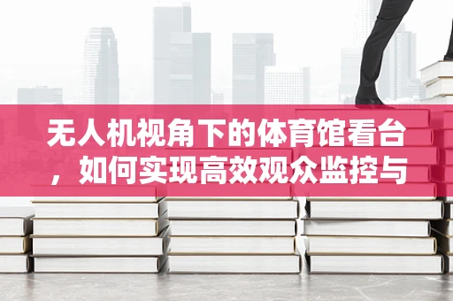 无人机视角下的体育馆看台，如何实现高效观众监控与安全保障？