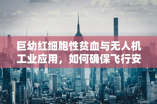 巨幼红细胞性贫血与无人机工业应用，如何确保飞行安全？