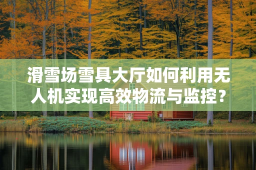 滑雪场雪具大厅如何利用无人机实现高效物流与监控？