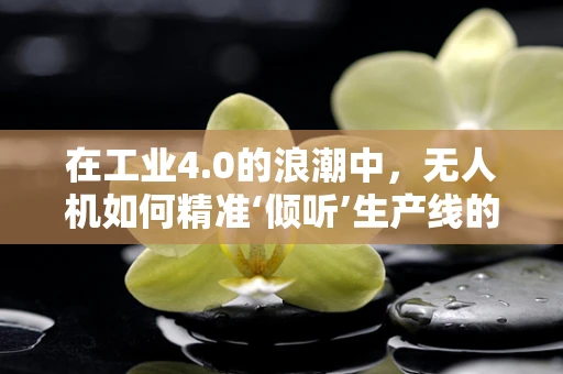 在工业4.0的浪潮中，无人机如何精准‘倾听’生产线的‘声音’？