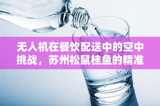无人机在餐饮配送中的空中挑战，苏州松鼠桂鱼的精准送达难题