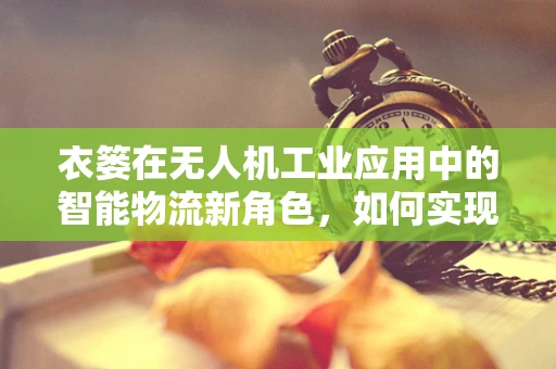 衣篓在无人机工业应用中的智能物流新角色，如何实现精准投放？