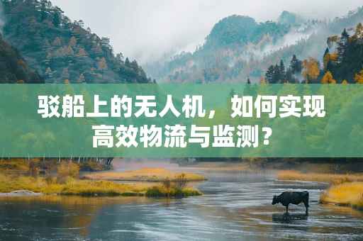 驳船上的无人机，如何实现高效物流与监测？