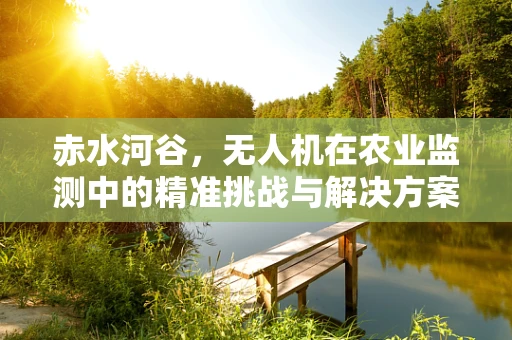 赤水河谷，无人机在农业监测中的精准挑战与解决方案