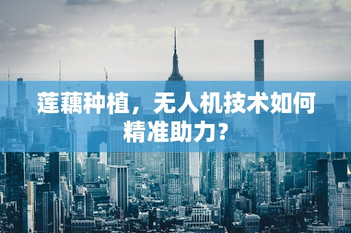 莲藕种植，无人机技术如何精准助力？