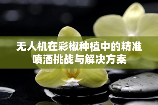 无人机在彩椒种植中的精准喷洒挑战与解决方案