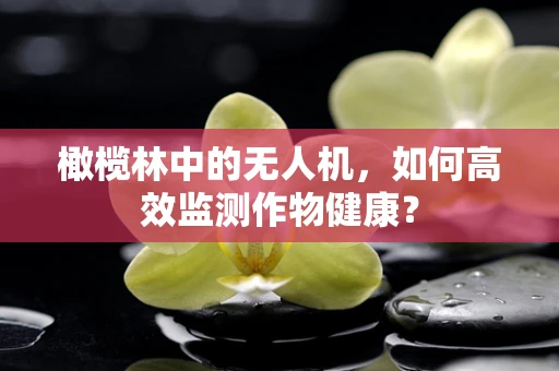 橄榄林中的无人机，如何高效监测作物健康？