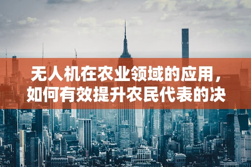 无人机在农业领域的应用，如何有效提升农民代表的决策效率？