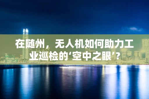 在随州，无人机如何助力工业巡检的‘空中之眼’？