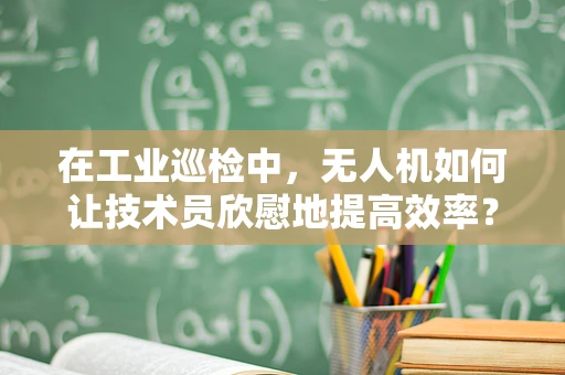 在工业巡检中，无人机如何让技术员欣慰地提高效率？