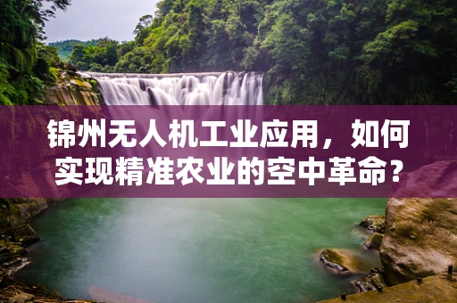 锦州无人机工业应用，如何实现精准农业的空中革命？
